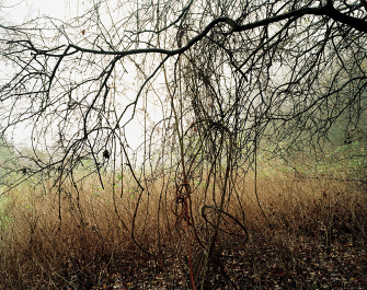 26 DIFFERENT ENDINGS